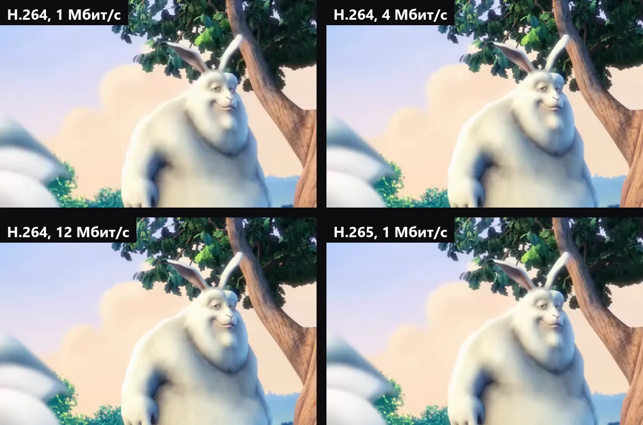Один и тот же участок кадра 1080p в масштабе 1:1 при битрейте H.264 1, 4 и 12 Мбит/с и H.265 1 Мбит/с: на 1 Мбит/с в H.264 размыты шерсть кролика и листва