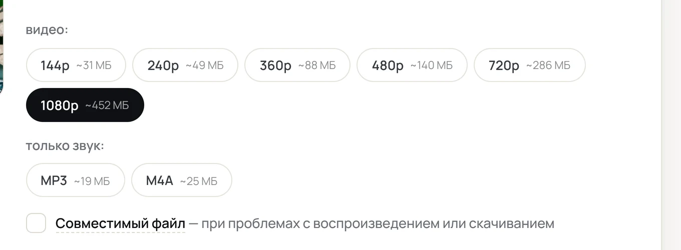 Скриншот результата онлайн-сервиса: список качеств 144p ~31 МБ, 240p ~49 МБ, 360p ~88 МБ, 480p ~140 МБ, 720p ~286 МБ, 1080p ~452 МБ и звуковые дорожки MP3 ~19 МБ и M4A ~25 МБ